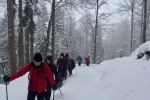 Gora_Oljka_24-2-2018_12