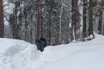 Gora_Oljka_24-2-2018_13