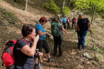 2023-05-07-Ivanscica-08