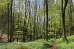 2023-05-07-Ivanscica-10