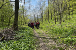 2023-05-07-Ivanscica-11
