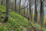 2023-05-07-Ivanscica-19
