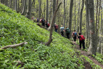2023-05-07-Ivanscica-20
