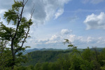 2023-05-07-Ivanscica-21