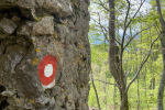 2023-05-07-Ivanscica-24