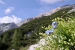 2018-07-14-Kalska_gora-07