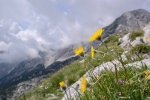 2018-07-14-Kalska_gora-12