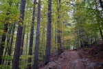 2017-10-08-Kosenjak-03