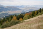 2017-10-08-Kosenjak-04