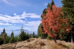 2017-10-08-Kosenjak-20