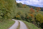 2017-10-08-Kosenjak-27