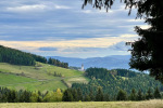 2023-10-21-Kosenjak-03