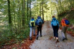 2017-10-07-Kostanjev_piknik-04