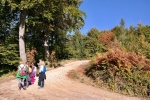 2017-10-07-Kostanjev_piknik-06