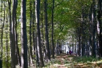 2017-10-07-Kostanjev_piknik-14