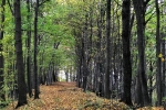 2018-10-21-Izvir_Sotle-12