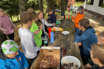 2022-10-09-Kostanjev_piknik-19