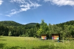 2017-05-27-Iski_vintgar-Krim-22