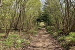 2017-04-22-Krim-Trenk-Iski_vintgar-11