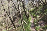2017-04-22-Krim-Trenk-Iski_vintgar-21