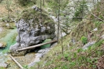 2017-04-22-Krim-Trenk-Iski_vintgar-33