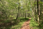 2017-04-22-Krim-Trenk-Iski_vintgar-36