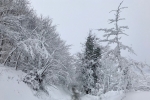 2017-12-09-Miklavzevanje-06