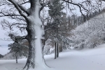 2017-12-09-Miklavzevanje-09