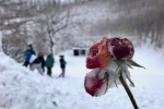 2017-12-09-Miklavzevanje-11