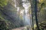 2022-10-08-Naravovarstveni_poohod-04