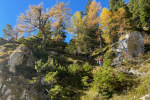 2022-10-16-Olseva-27