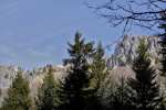 2025-02-23-Ratitovec-03