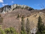 Risnjak 2017
