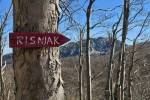 2017-04-08-Risnjak-02