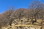 2017-04-08-Risnjak-04