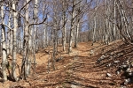2017-04-08-Risnjak-06