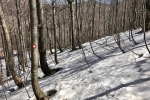 2017-04-08-Risnjak-07