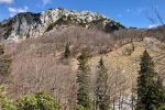 2017-04-08-Risnjak-08