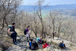 2024-03-23-Sinji_vrh-05
