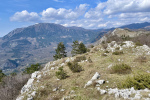 2024-03-23-Sinji_vrh-22