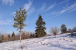 2018-12-16-Slivnica-04