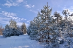 2018-12-16-Slivnica-07