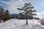 2018-12-16-Slivnica-08