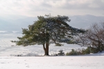 2018-12-16-Slivnica-12