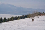2018-12-16-Slivnica-14