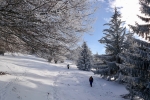 2018-12-16-Slivnica-17