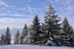 2018-12-16-Slivnica-18