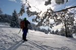 2018-12-16-Slivnica-20