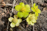 2022-03-20-Smohor-28