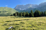 2023-07-08-Spik_Hude_police-01